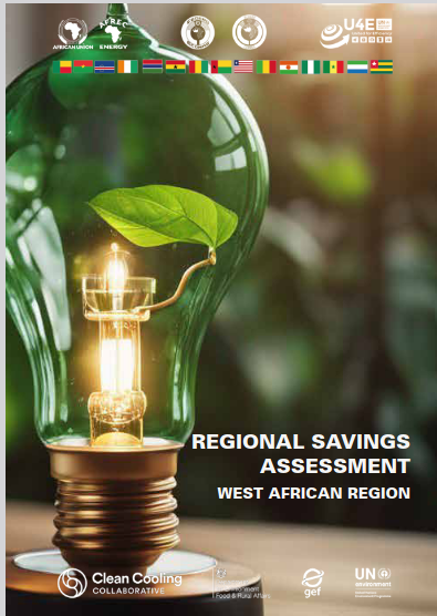 Regional Savings Assessment West African Region