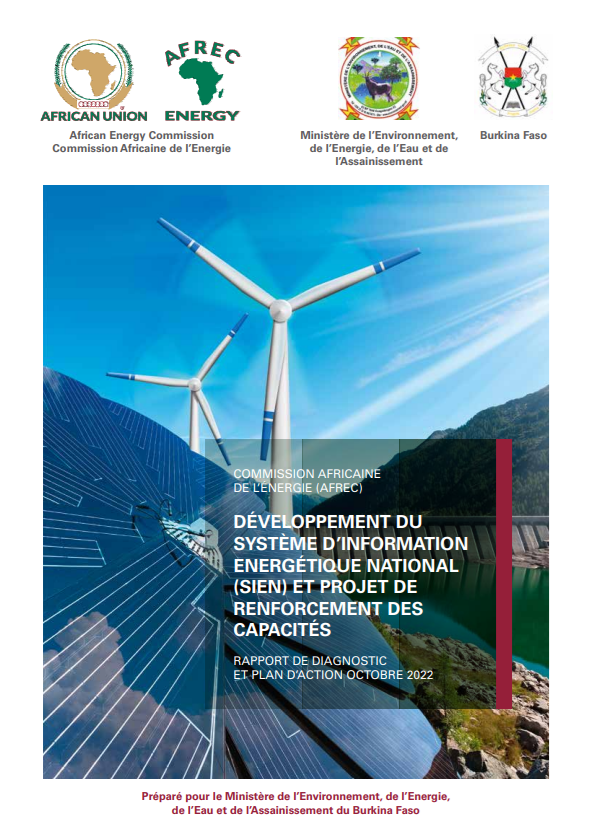 Burkina Faso - DIAGNOSTIC REPORT AND ACTION PLAN