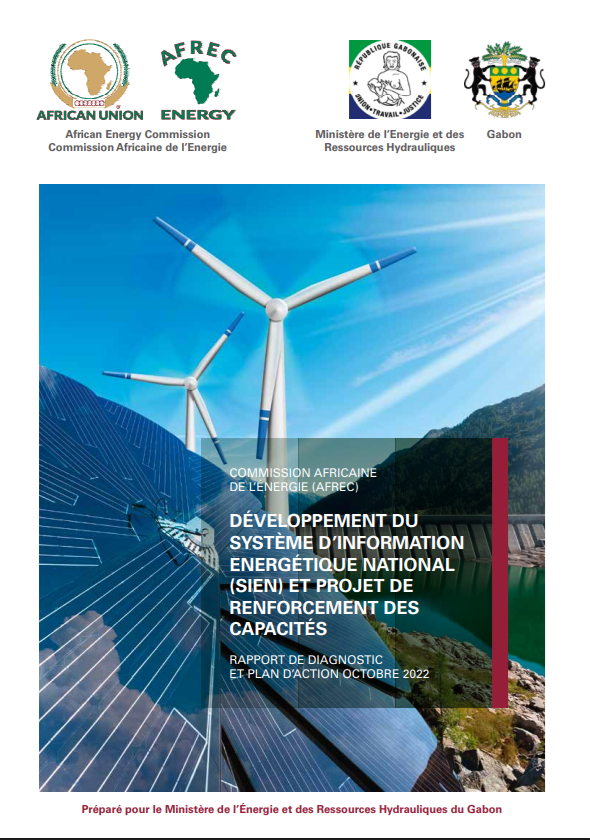 Gabon - DIAGNOSTIC REPORT AND ACTION PLAN