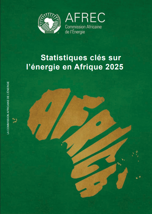 Statistiques clés sur l’énergie en Afrique 2025