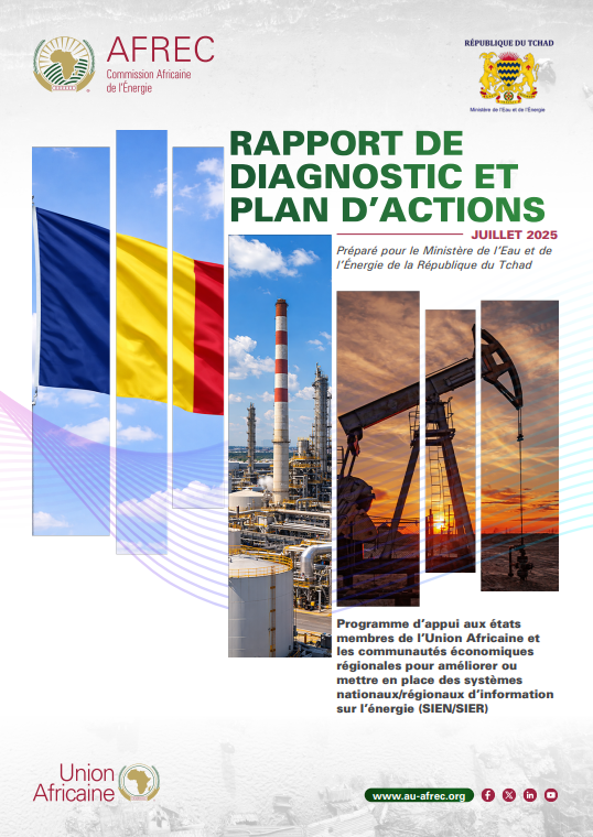 Chad - DIAGNOSTIC REPORT AND ACTION PLAN