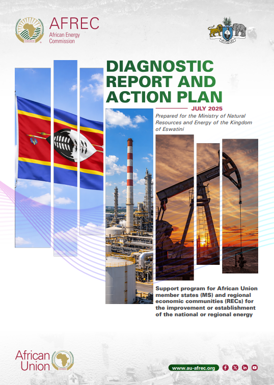 Eswatini - DIAGNOSTIC REPORT AND ACTION PLAN