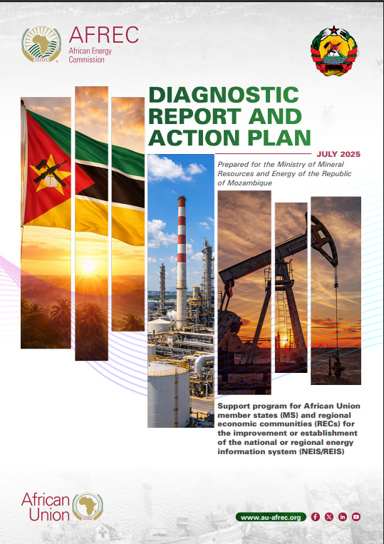 Mozambique DIAGNOSTIC REPORT AND ACTION PLAN
