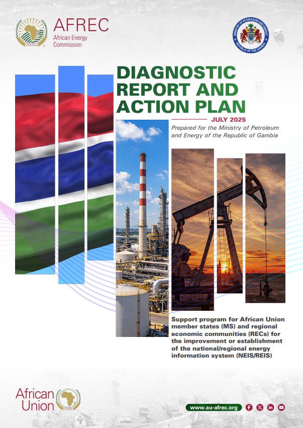 Gambia DIAGNOSTIC REPORT AND ACTION PLAN