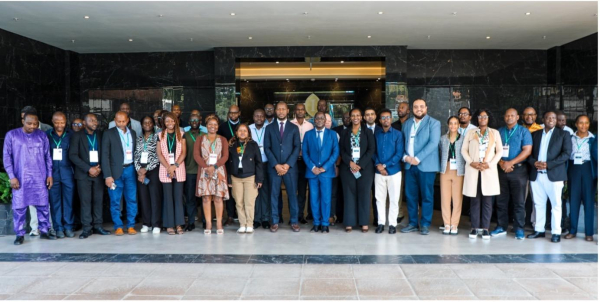 AFREC Rolls Out Continental Training in Lusaka on Distribution Grid Loss Reduction and Action Planning
