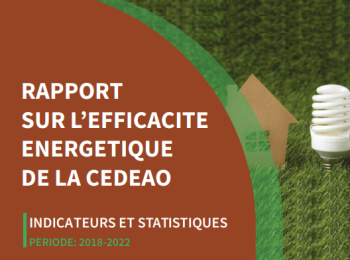 RAPPORT SUR L’EFFICACITE ENERGETIQUE DE LA CEDEAO