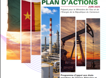 Cameroon - DIAGNOSTIC REPORT AND ACTION PLAN