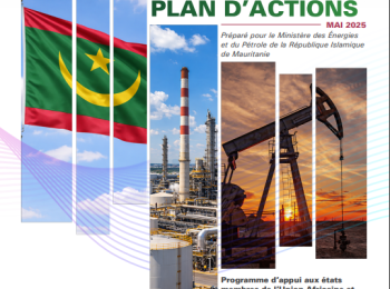 Mauritania -DIAGNOSTIC REPORT AND ACTION PLAN