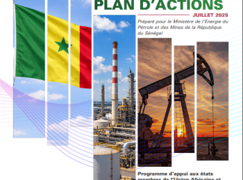 Senegal -DIAGNOSTIC REPORT AND ACTION PLAN