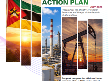 Mozambique DIAGNOSTIC REPORT AND ACTION PLAN