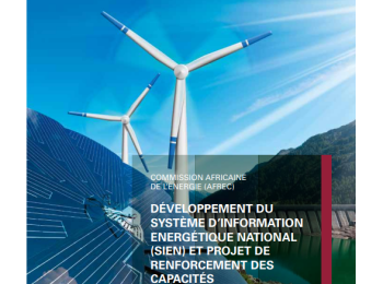 Algeria - DIAGNOSTIC REPORT AND ACTION PLAN