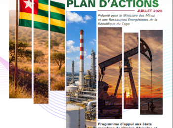 Togo - DIAGNOSTIC REPORT AND ACTION PLAN
