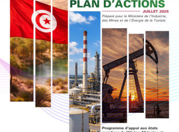 Tunisia DIAGNOSTIC REPORT AND ACTION PLAN